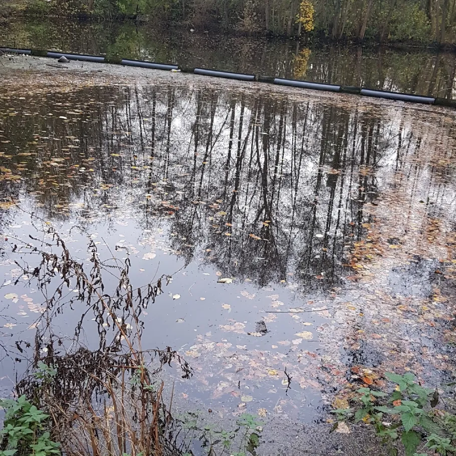 Regenrückhaltebecken Tornesch angeln