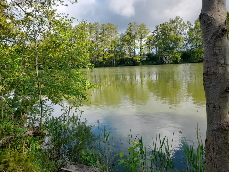 Stiche Zabelsdorf angeln
