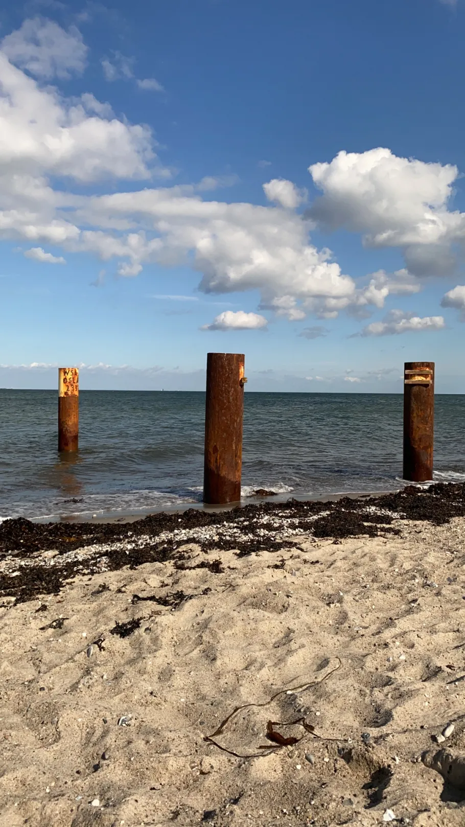 Ostsee (Fehmarn-Niobe) angeln