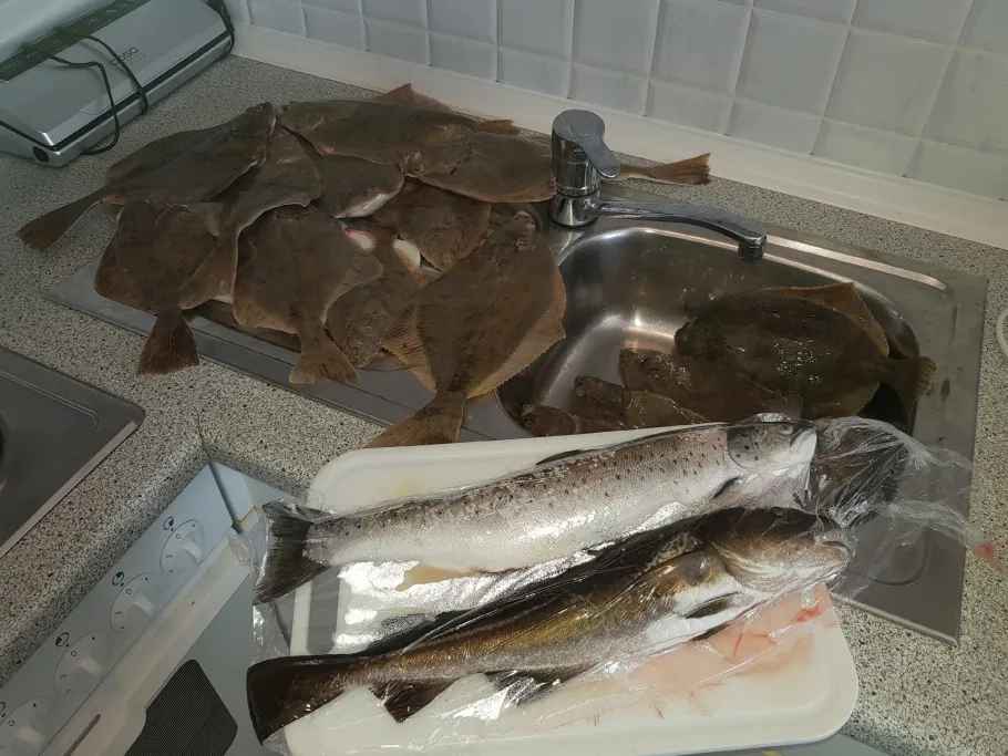 Ostsee (Binz) angeln