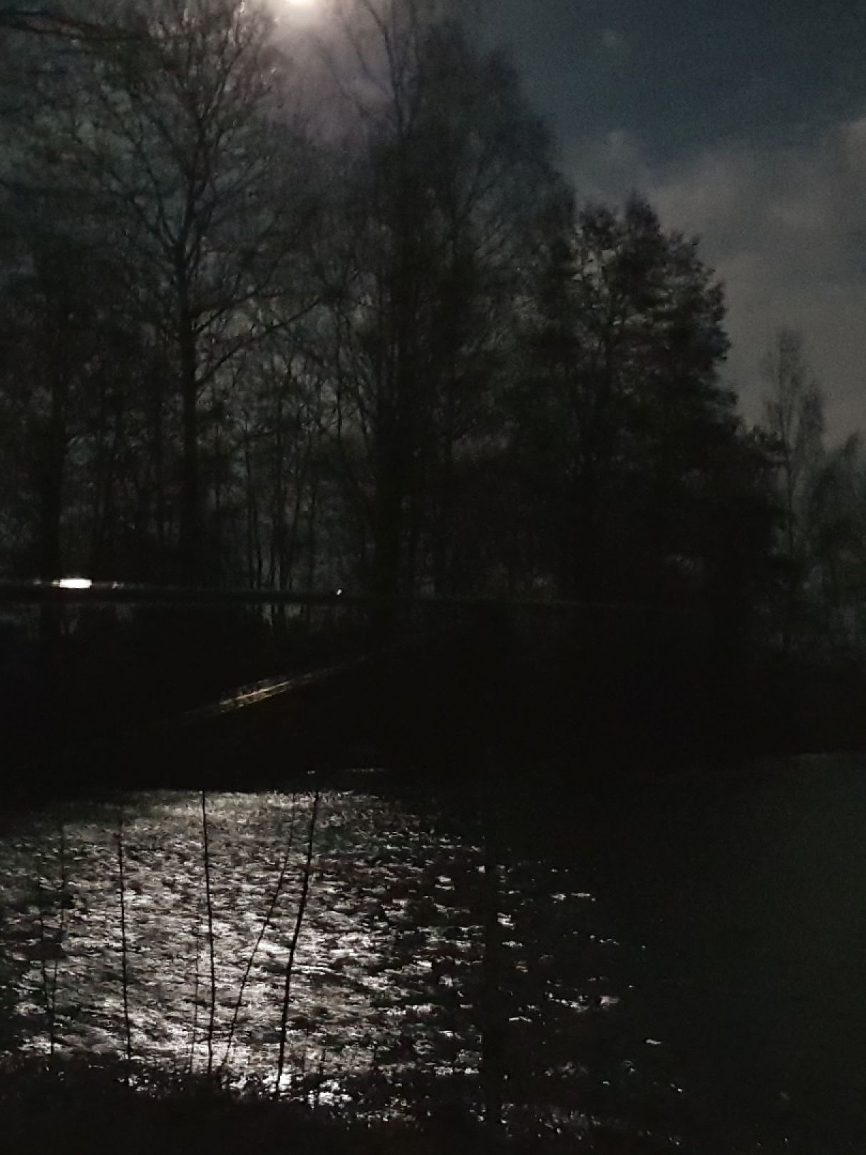 Püchersreuther Weiher angeln