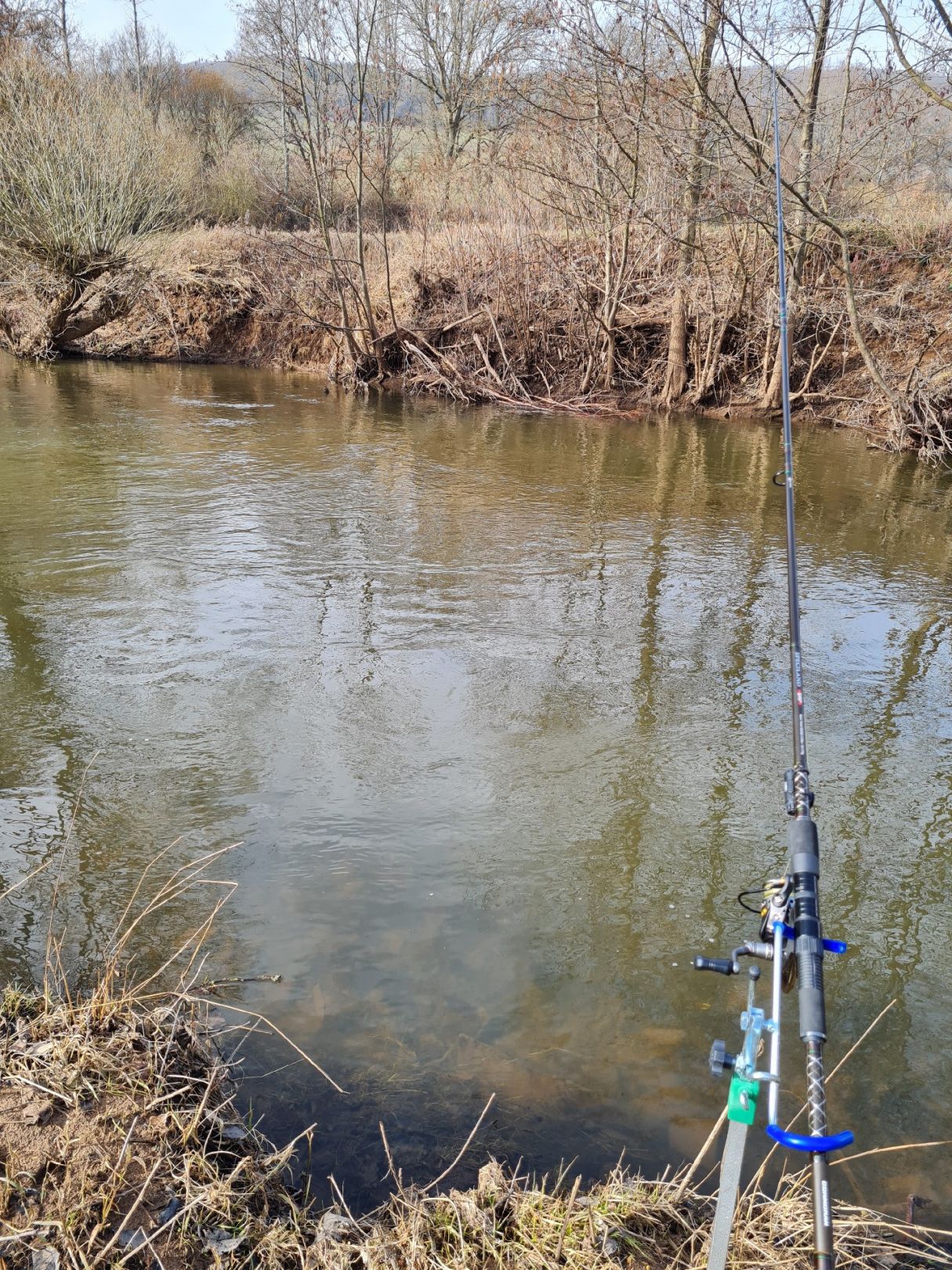 Angeln in Jettenbach