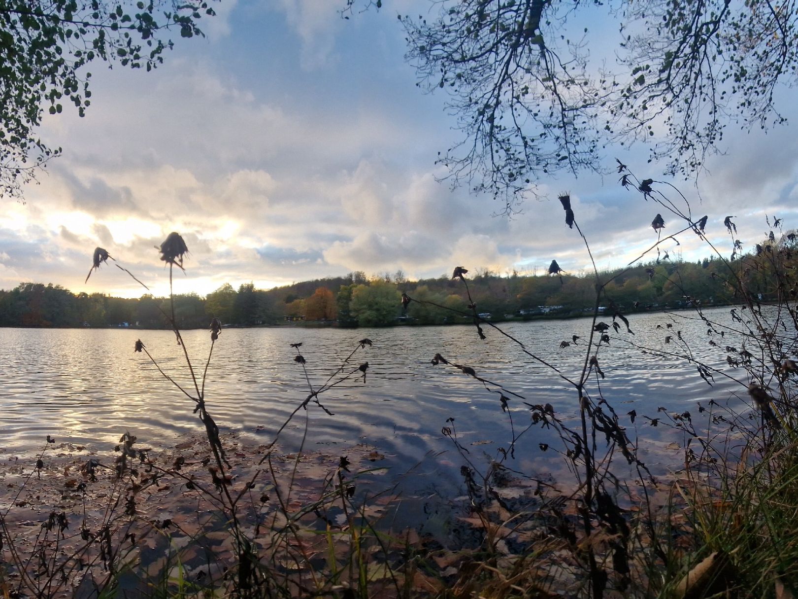 Altenberger See angeln