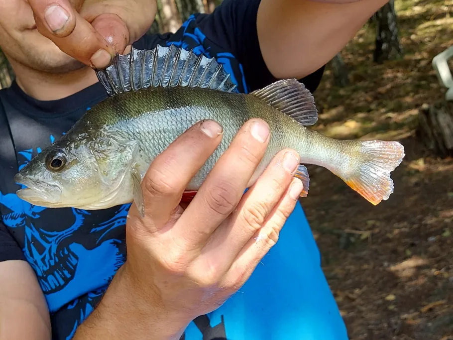 Kleiner Zeschsee angeln