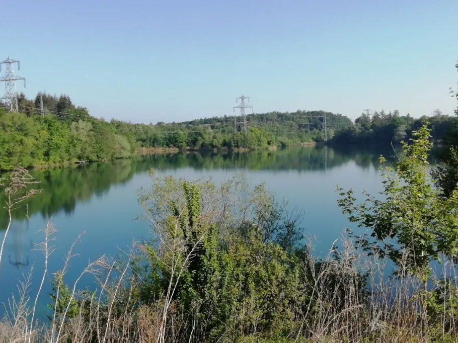 Baggersee Möllenbronn (Fronreute) angeln