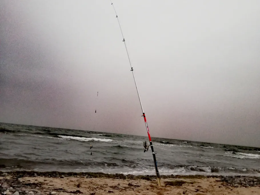 Ostsee (Mukran) angeln