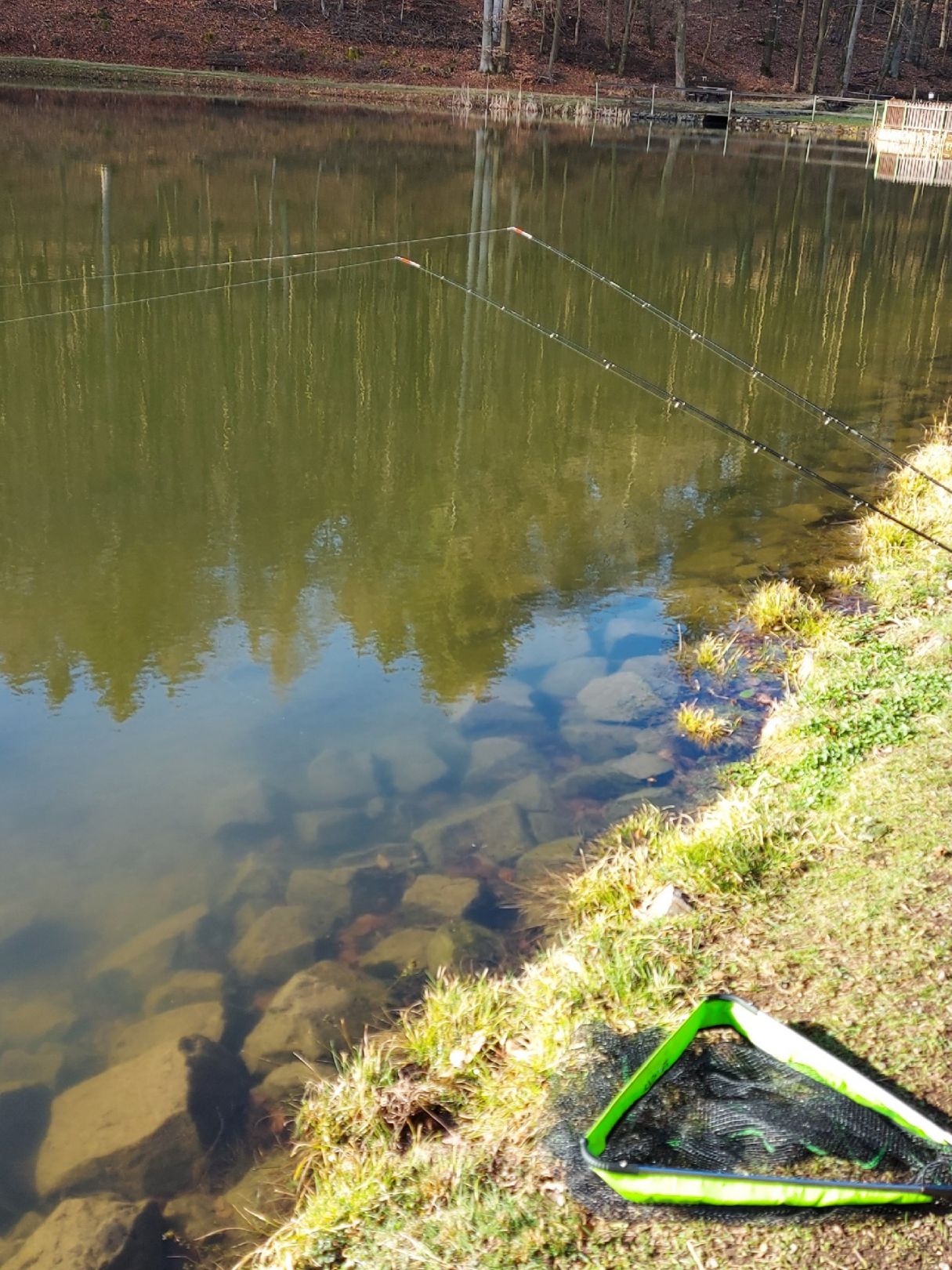 Waldsee Niedernhausen angeln