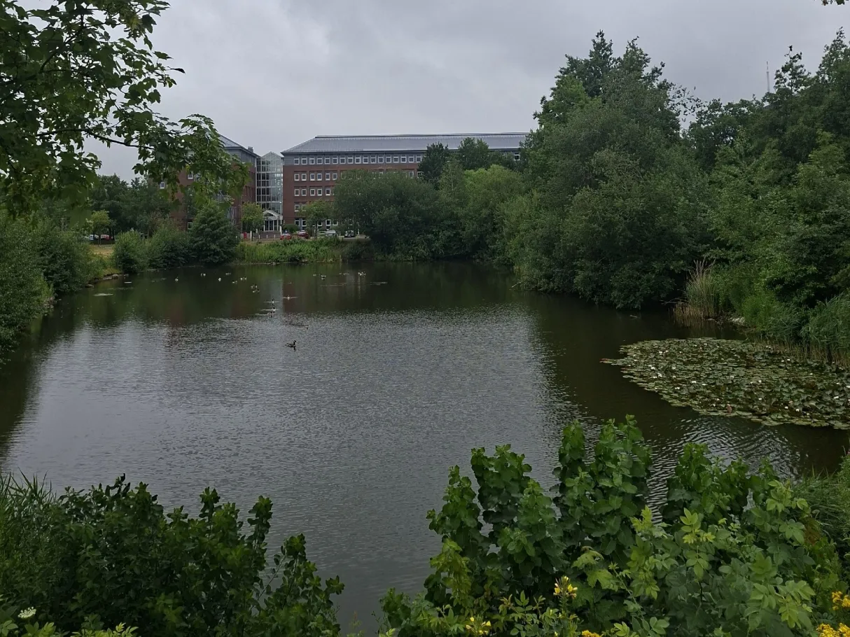 Teich am Hörnbad angeln