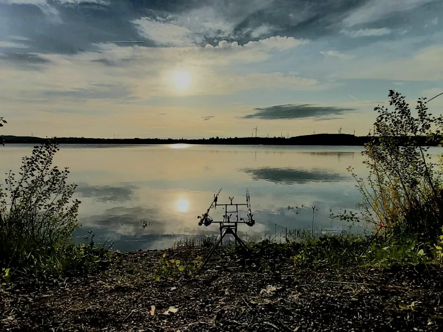 Sulzer See (Erfurt) angeln
