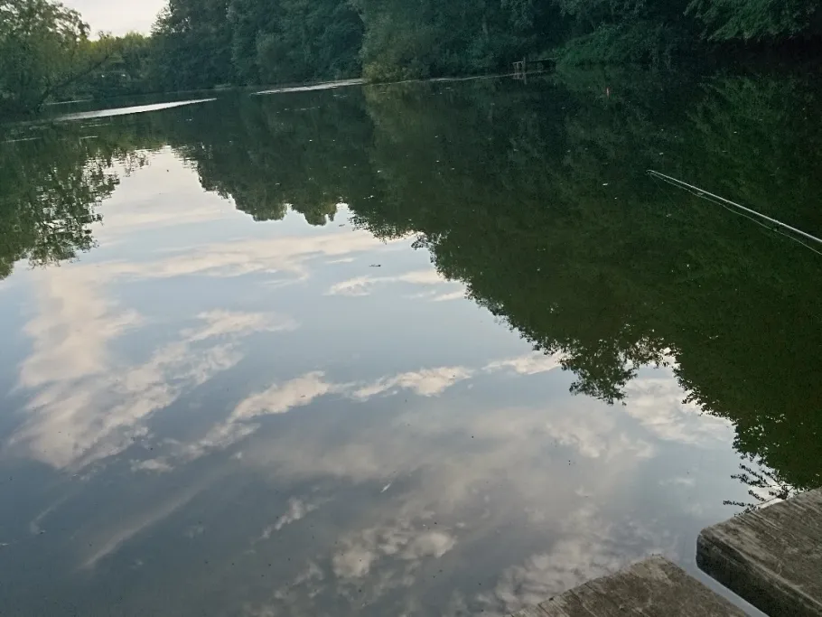 Edendorfer Tonkuhle angeln