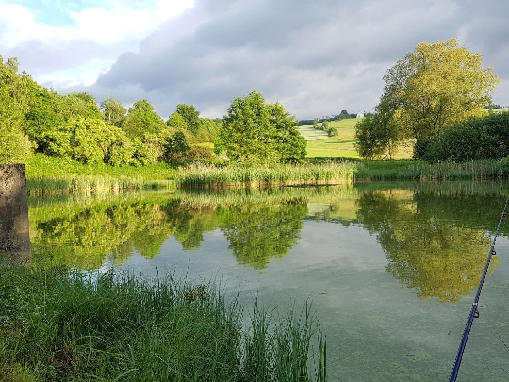 Herrenteich (Wiesenbad) angeln