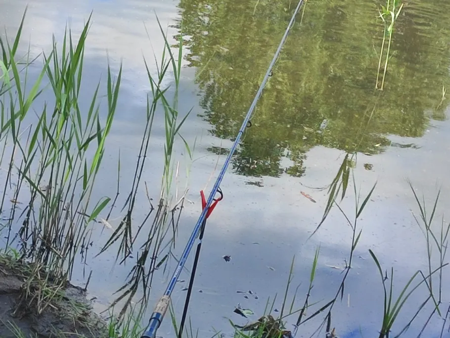 Breiter Graben (Güstrow) angeln