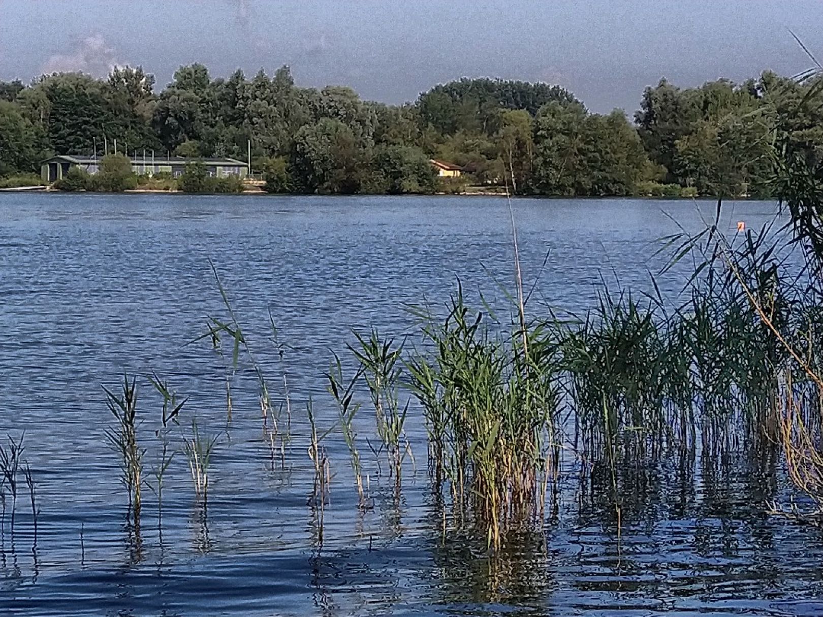 Neuländer See angeln