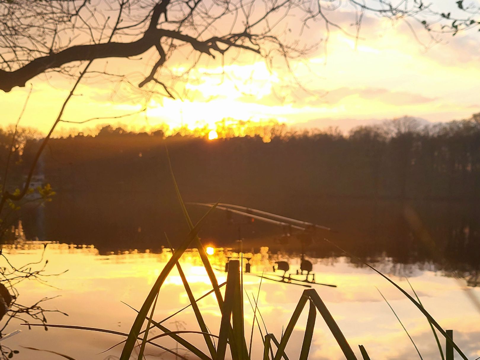 Oderiner See angeln