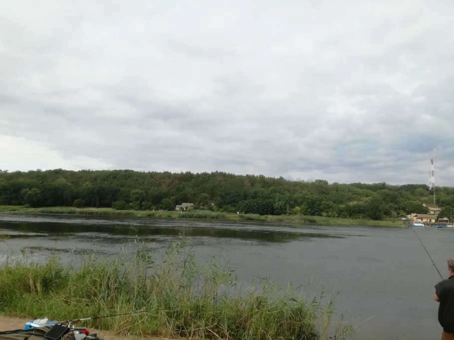 Alte Oder (Neulewin) angeln