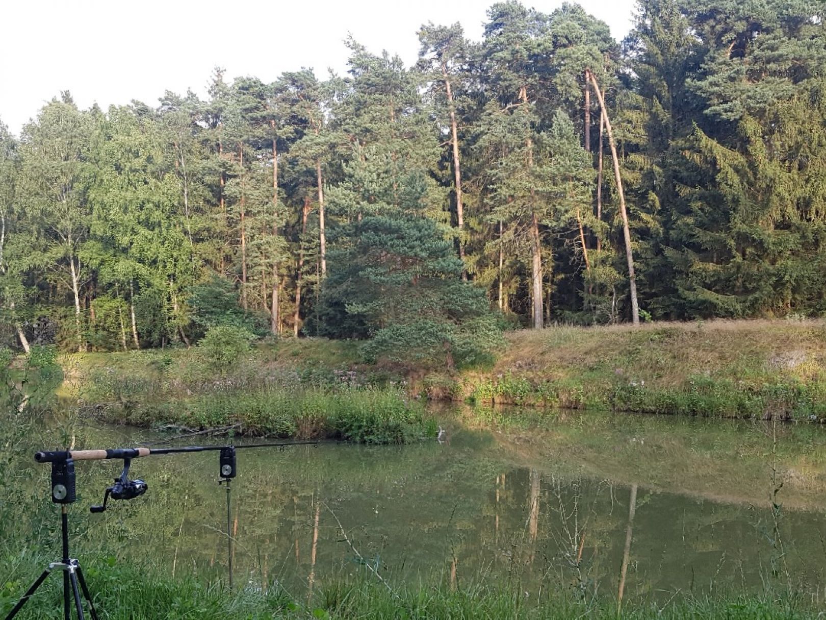 Ungelstetter Weiher angeln