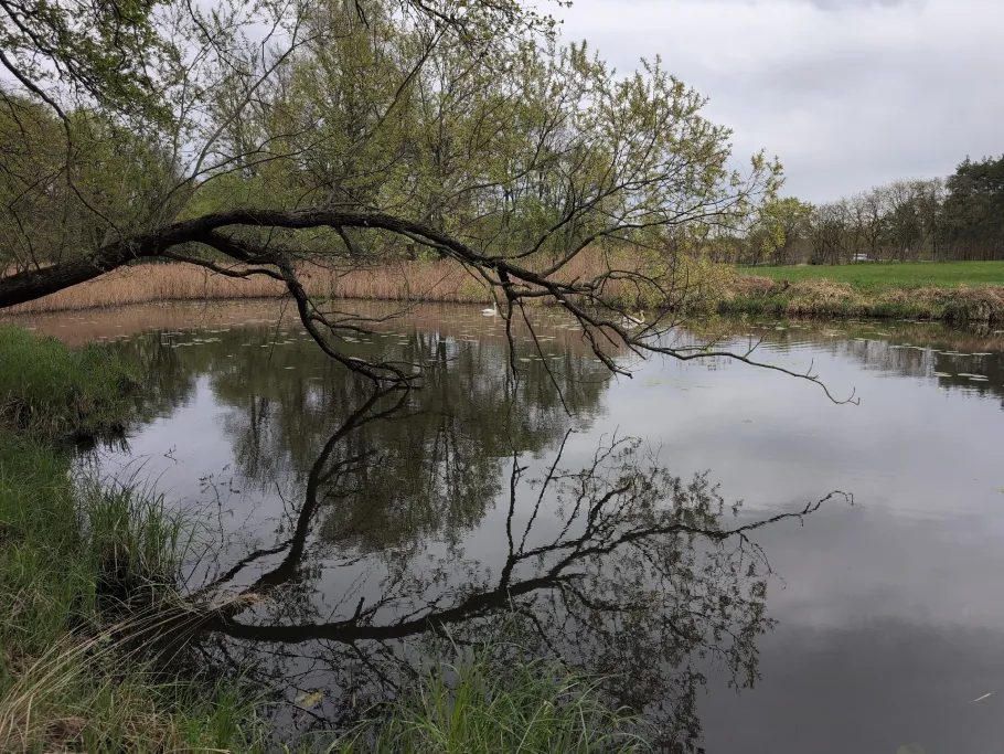 Rotes Loch (Prieschka) angeln