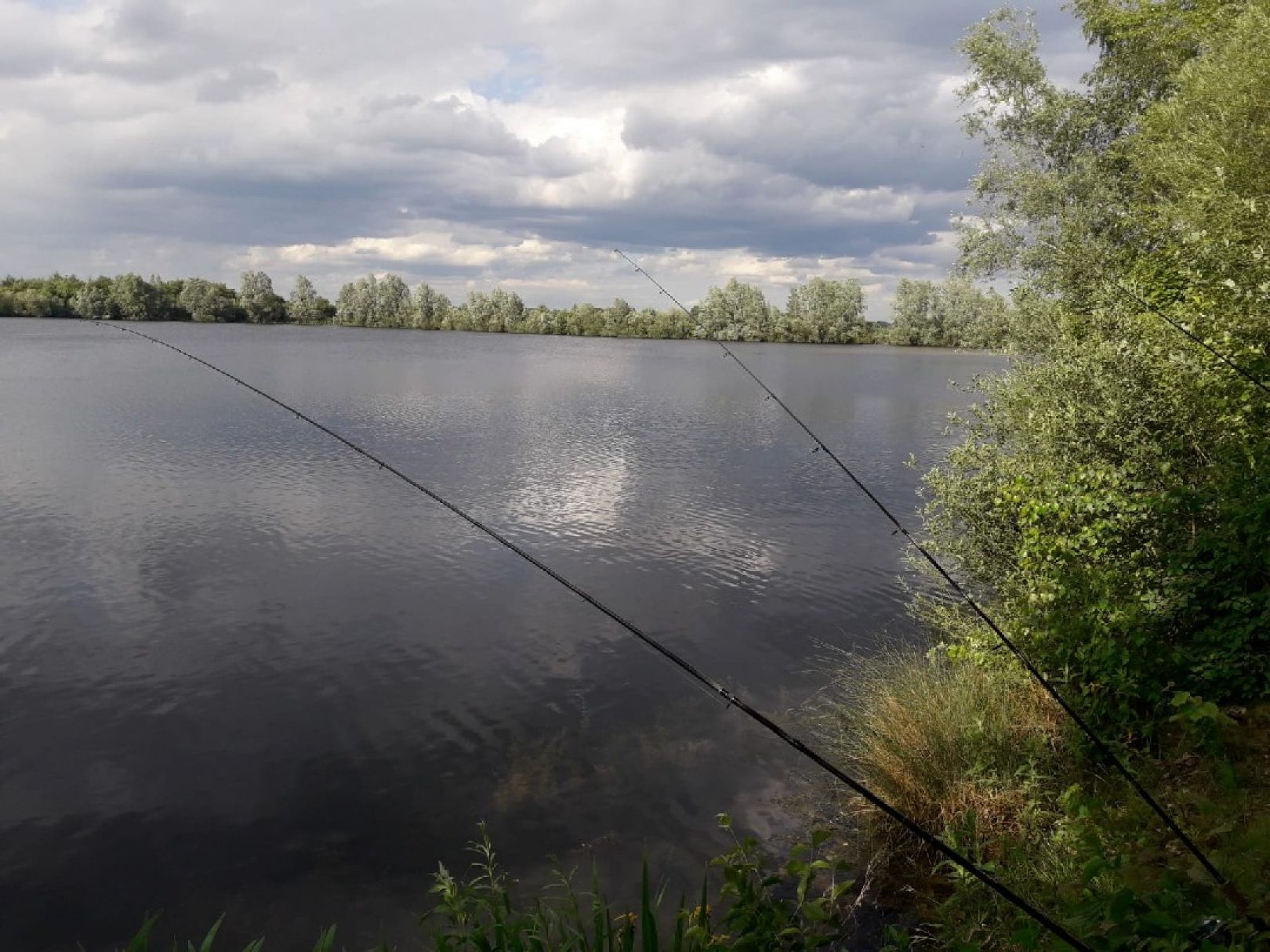 Kleickmannsee (FV Glenne) angeln