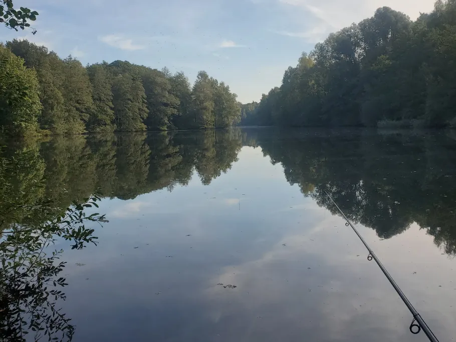 Hengemühlensee angeln