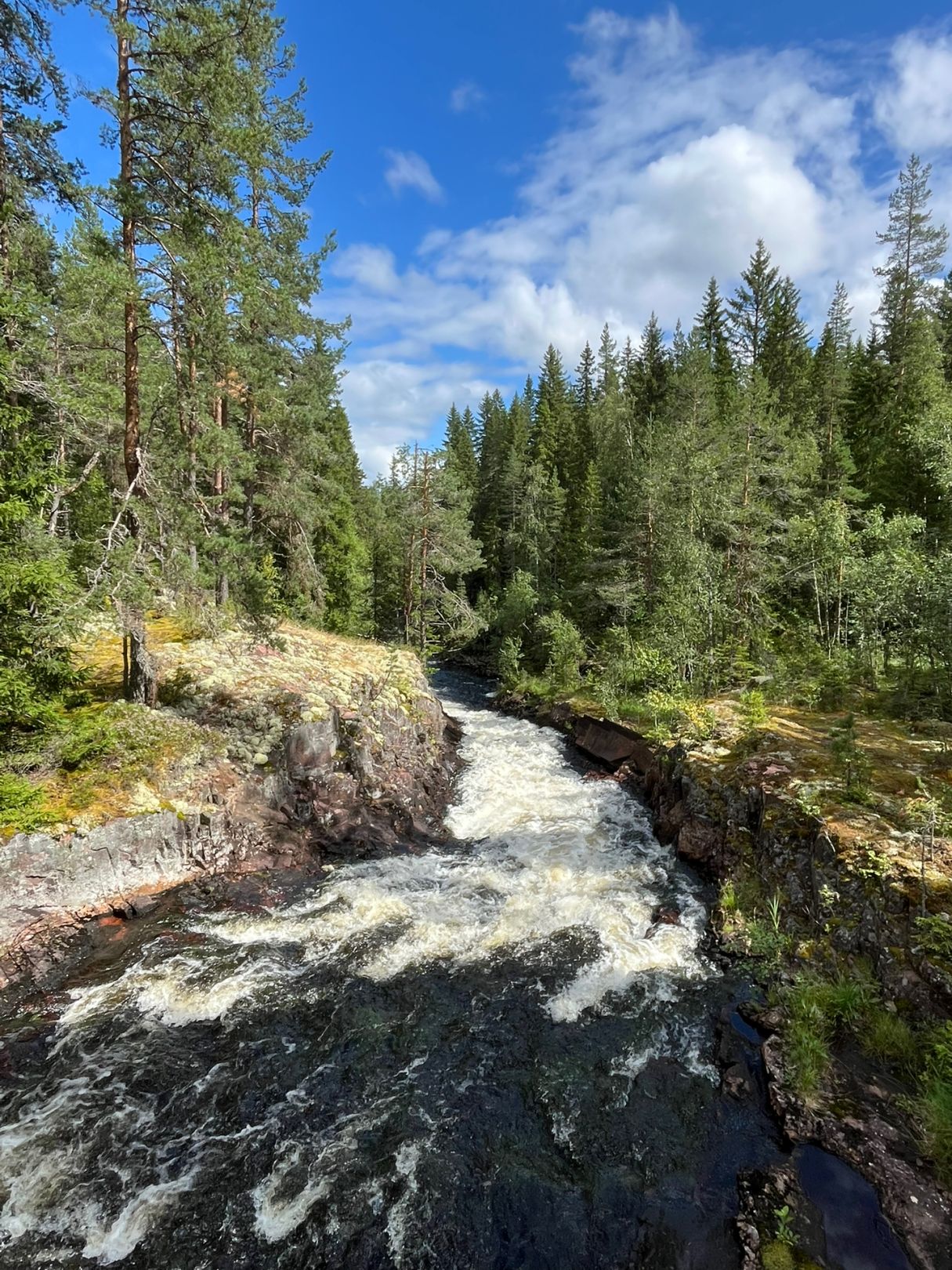 Dysån angeln