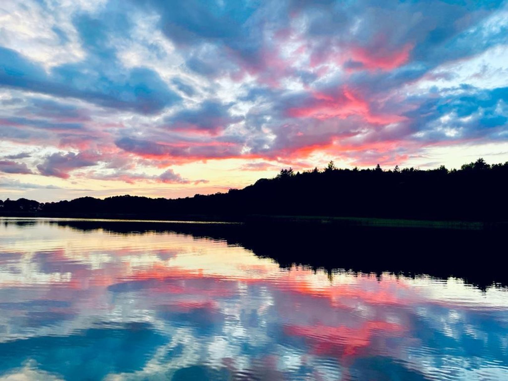 Schaalsee angeln