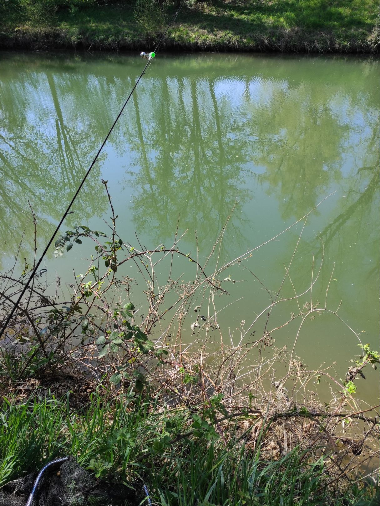 Rems (Waiblingen) angeln