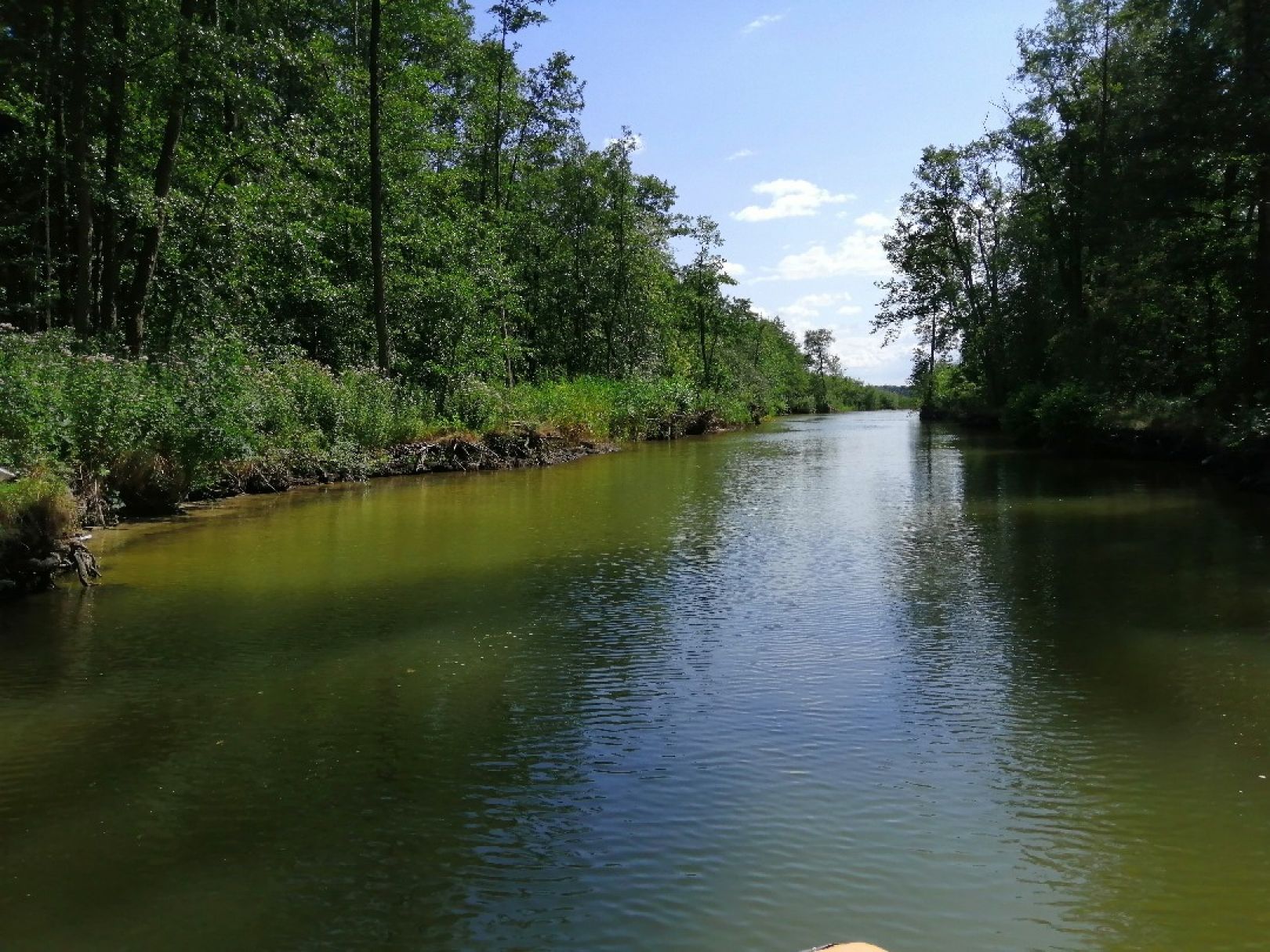 Fleesensee angeln