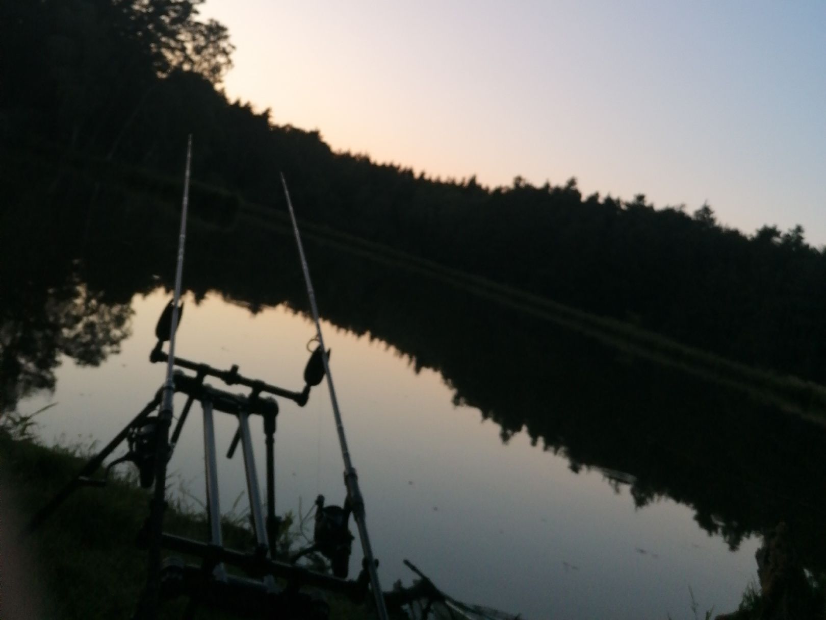 Unterer Brunnweiher (Ehingen) angeln