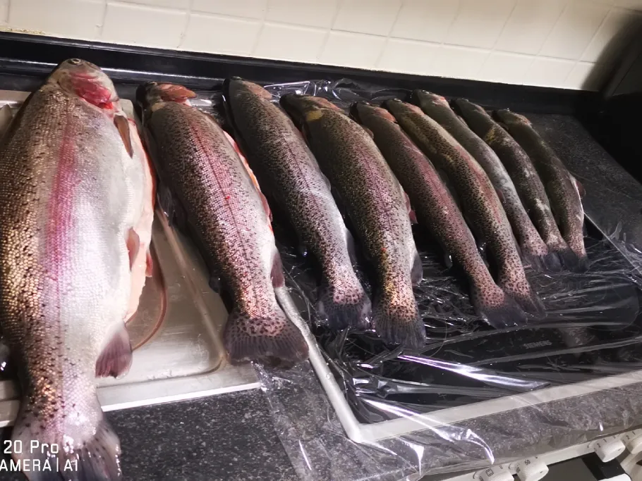 Stausee Obersteinebach angeln