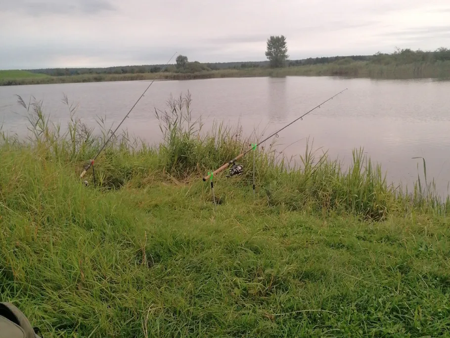 Jungfernbrack (Lanz) angeln