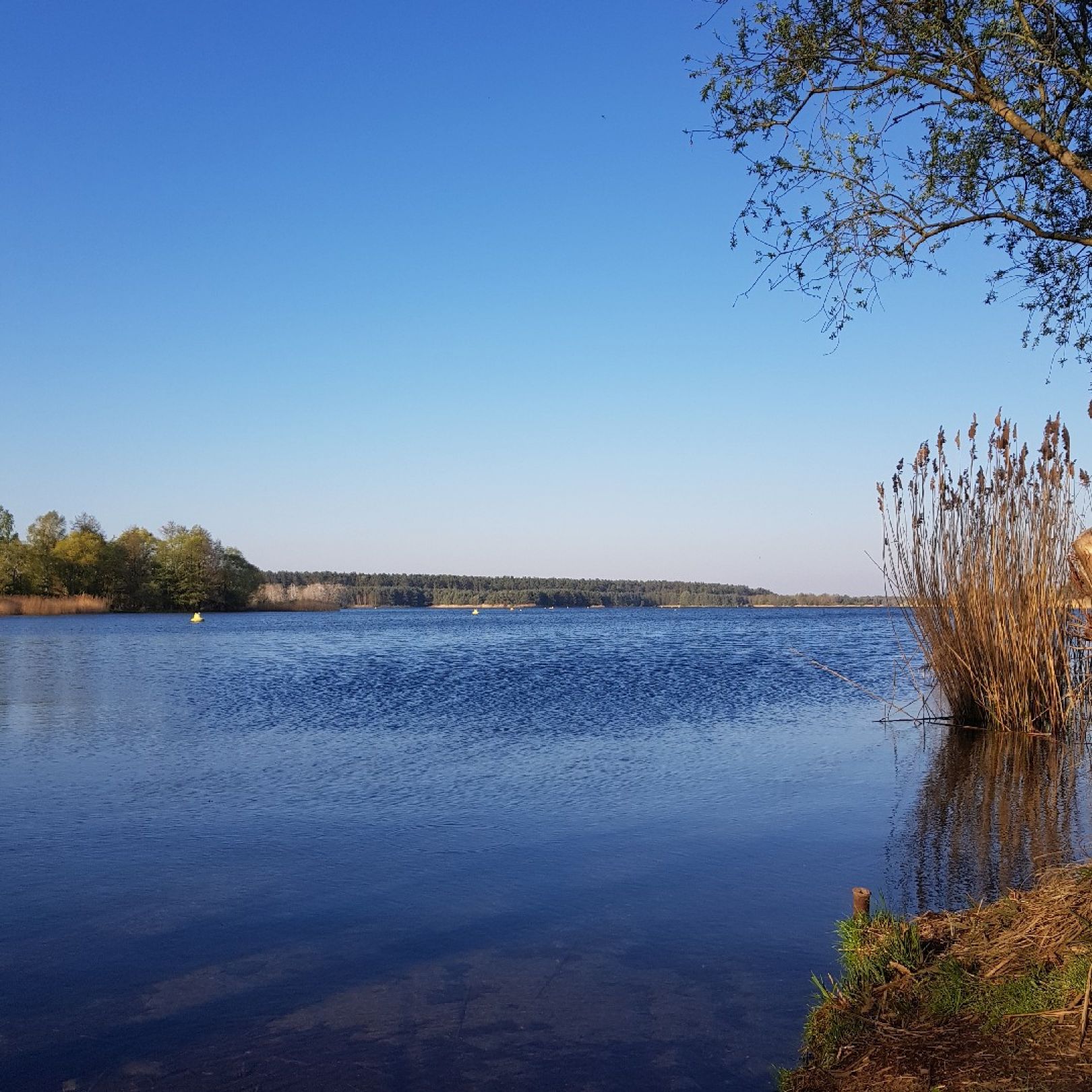 Niegripper See angeln