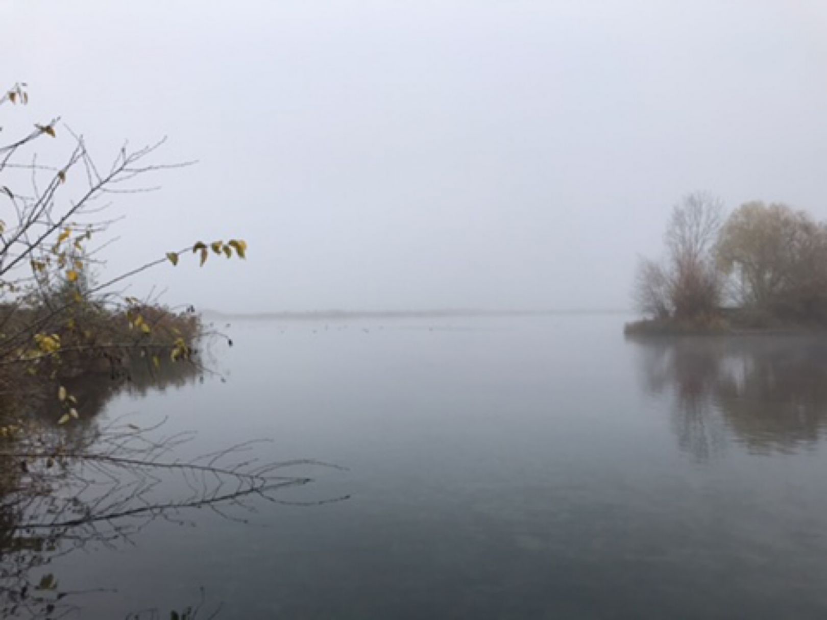 Klingesee (Stotternheim) angeln