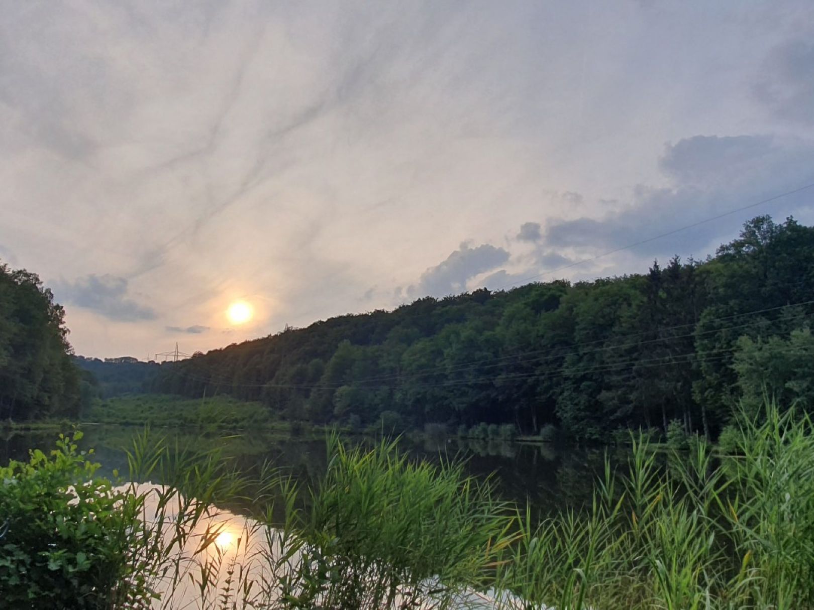 Binsenthal-Weiher angeln