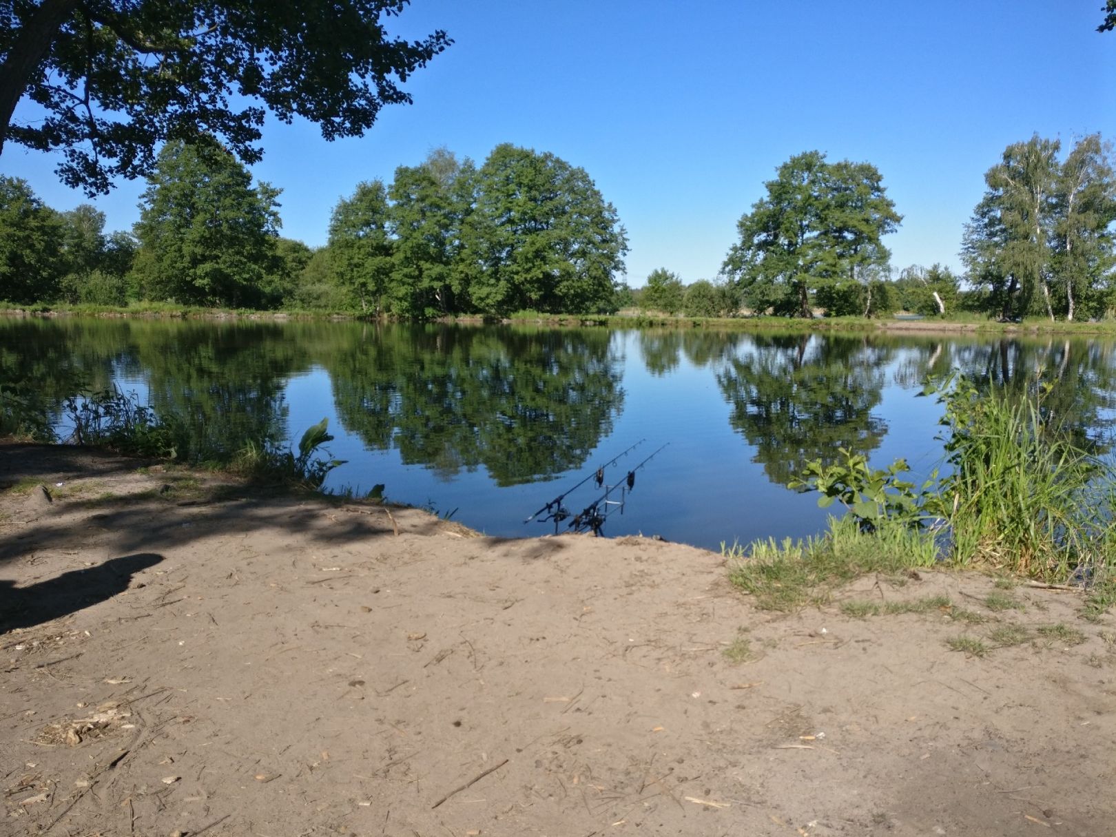 Maasdorfer Teiche ALLE ANGELN