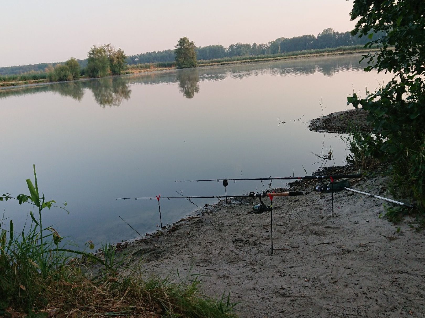 Maasdorfer Teiche ALLE ANGELN