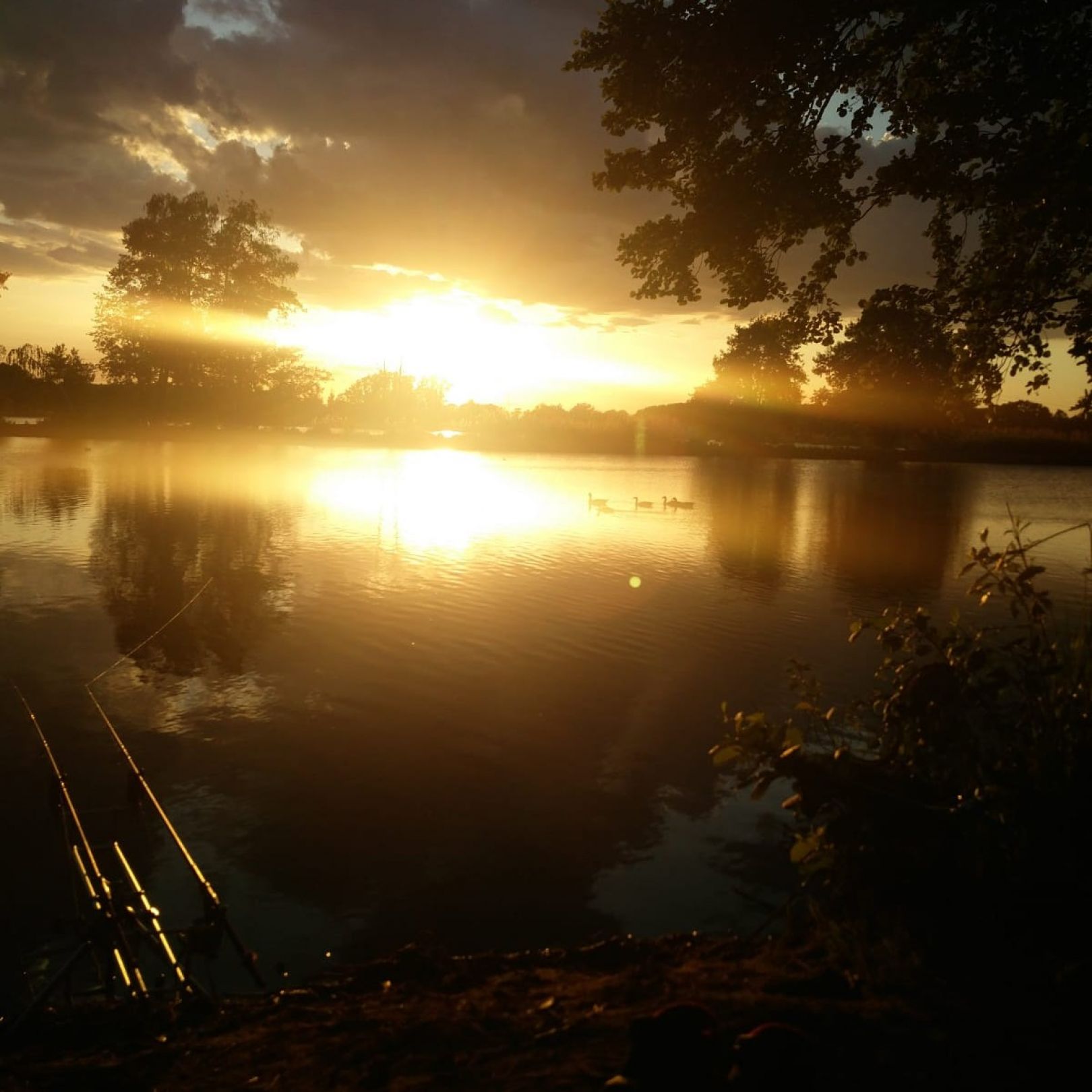 Maasdorfer Teiche angeln