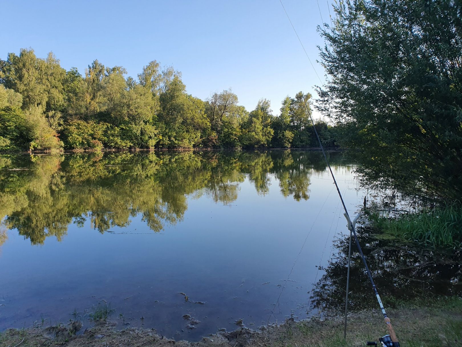 Bergheimer Weiher (Göggingen) angeln