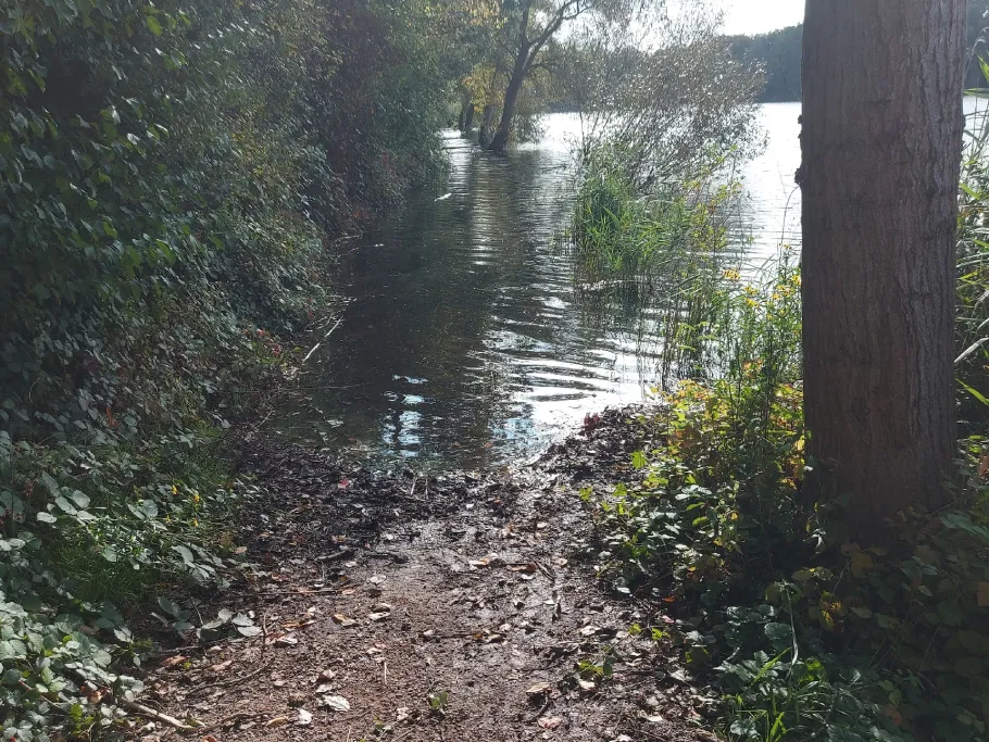 Angelsee Obertshausen angeln