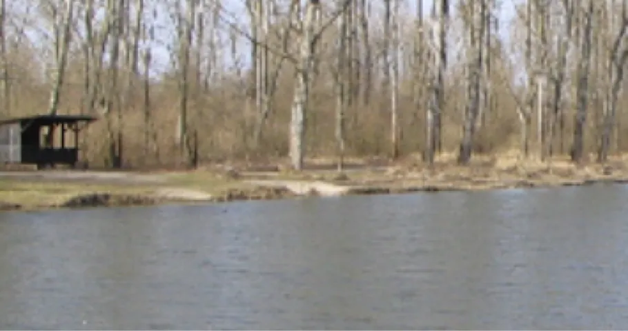 Altrheinsee (Illingen) angeln