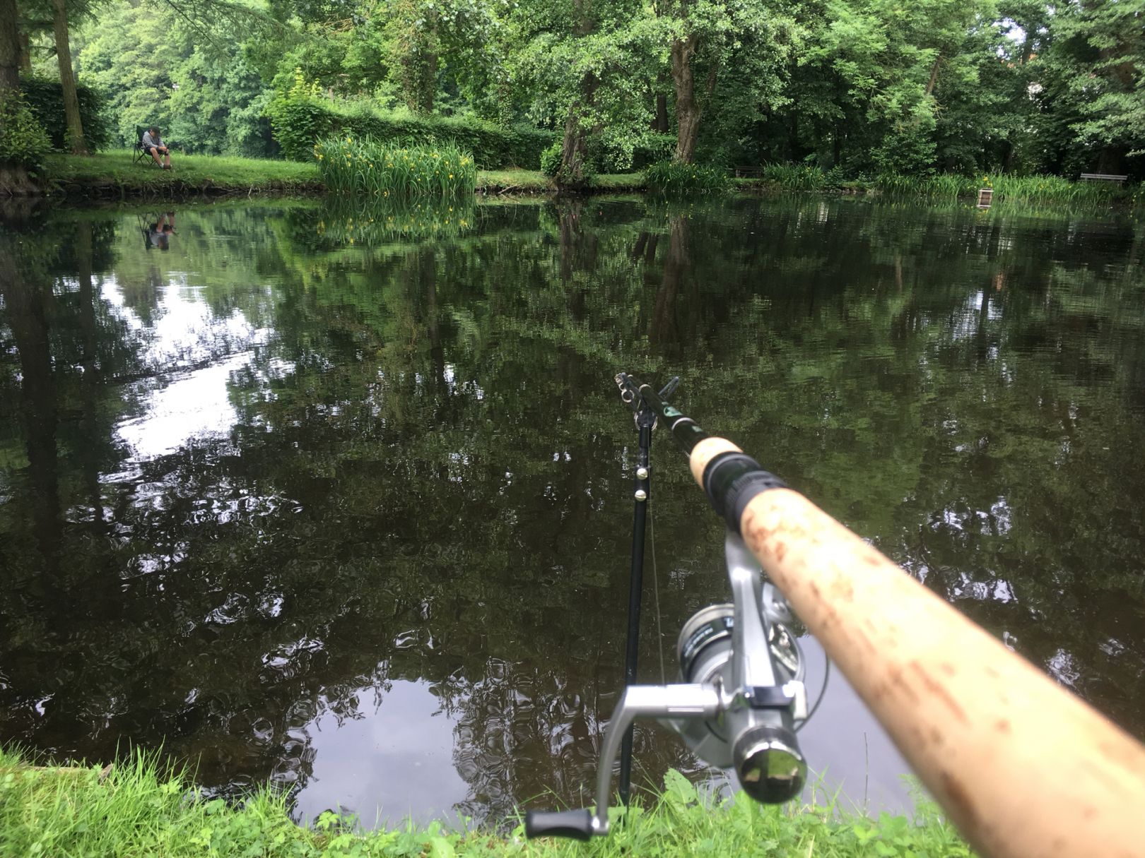 Weiher am alten Sportplatz (Gedern) angeln