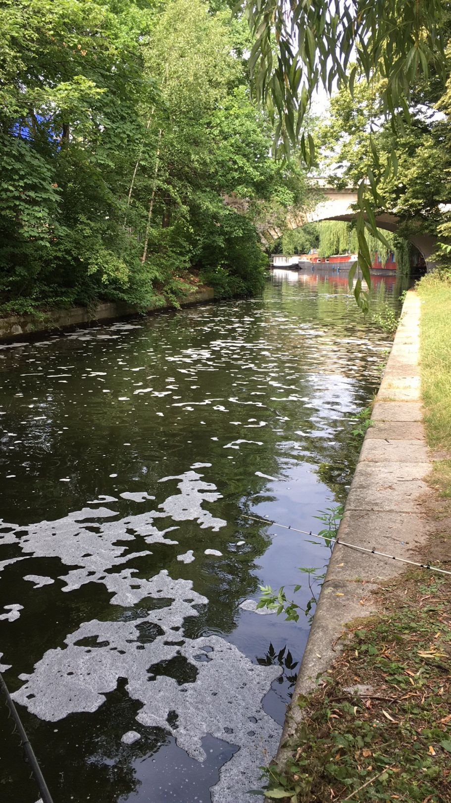 Landwehrkanal (Berlin-Charlottenburg) angeln