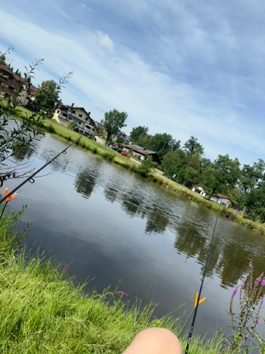 Franklbachweiher angeln