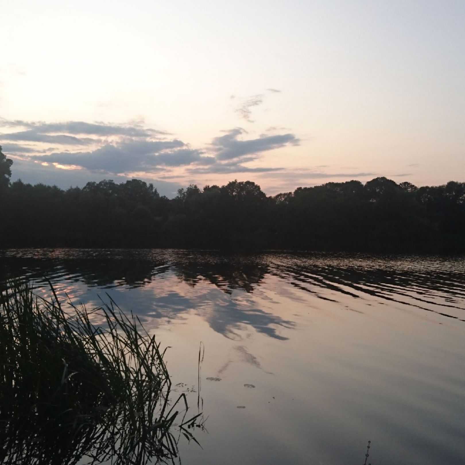 Pinnower See (Gerswalde) angeln
