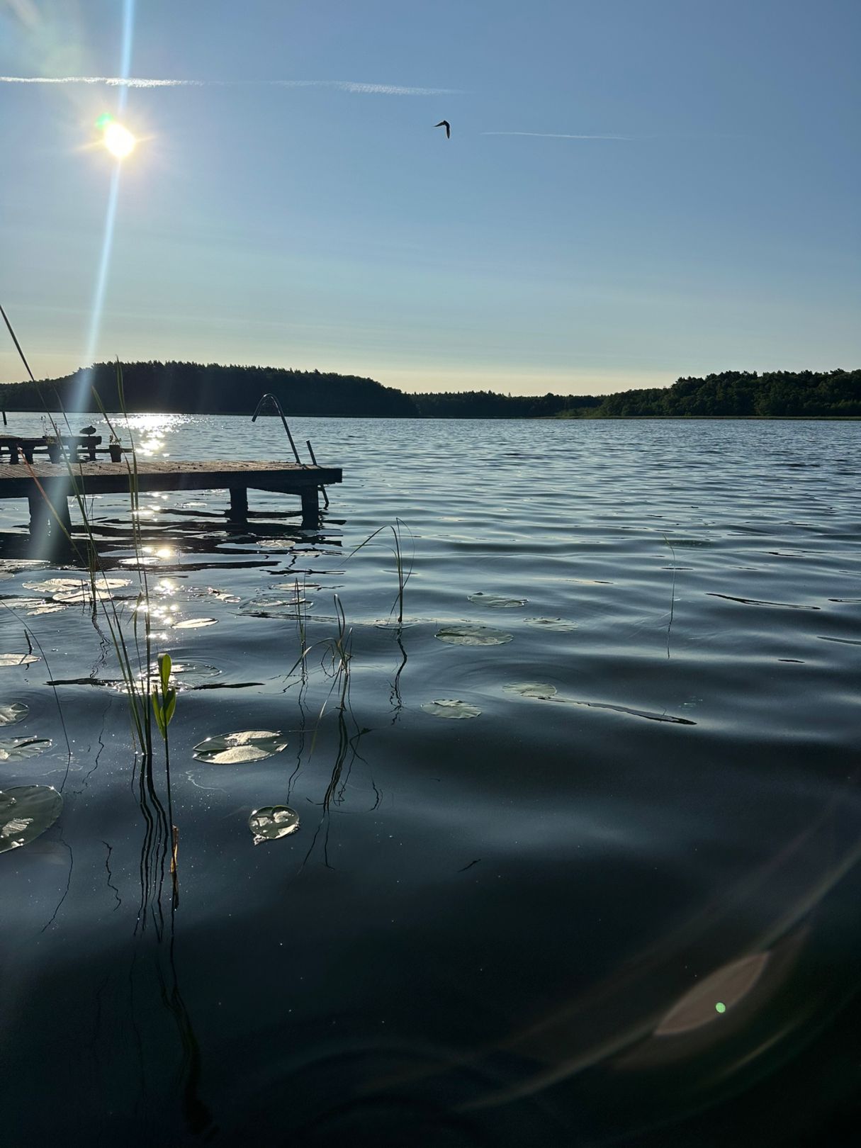 Rätzsee angeln
