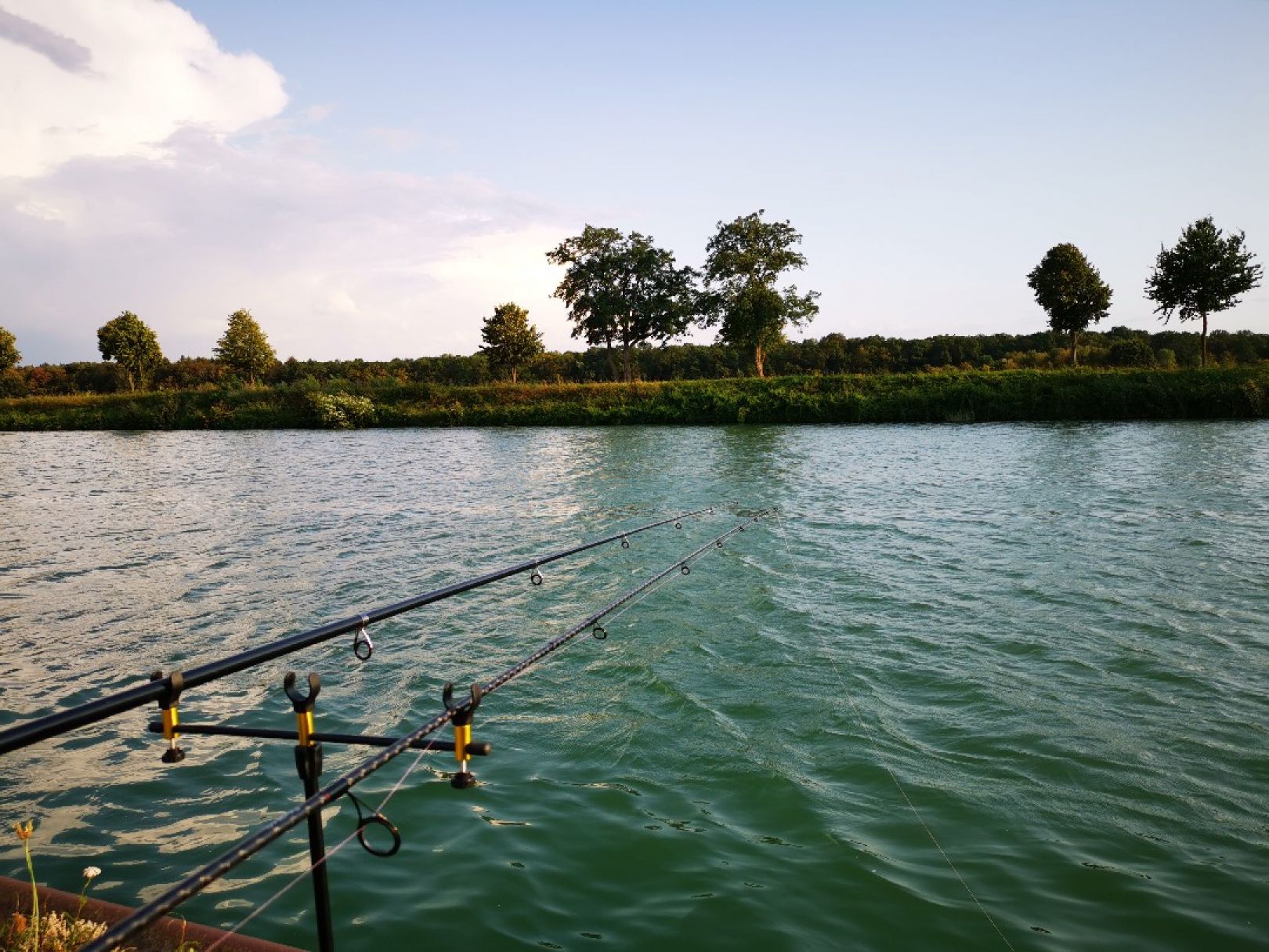 Mittellandkanal (Seelze) angeln