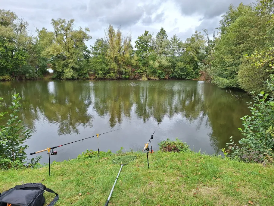 Baggerweiher Auhof angeln