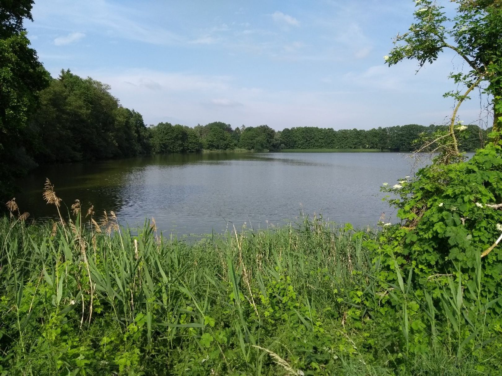 Schlesersee angeln