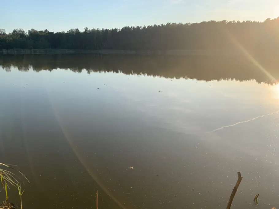 Großer Lotzinsee angeln