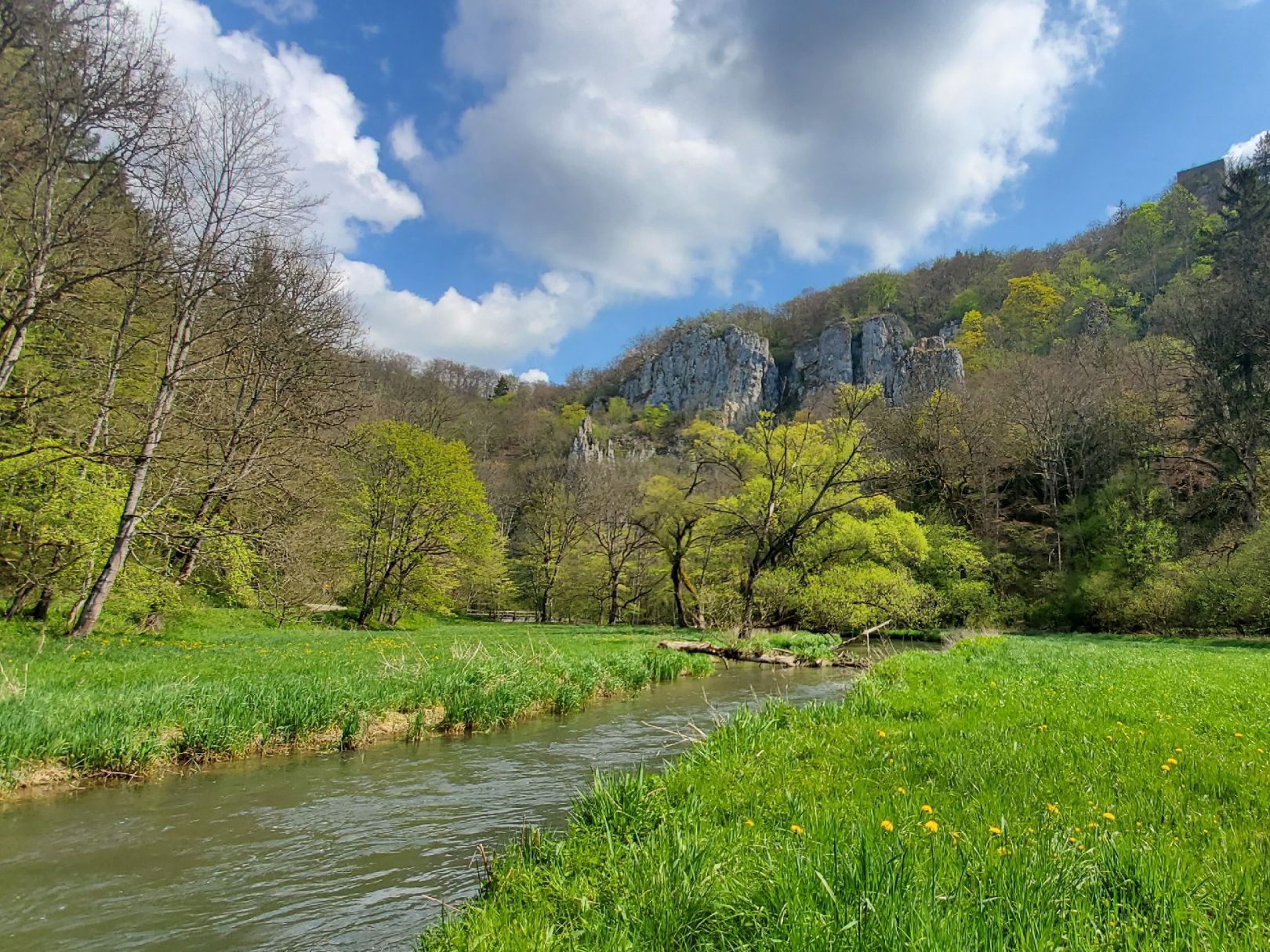 Angeln in Untermarchtal