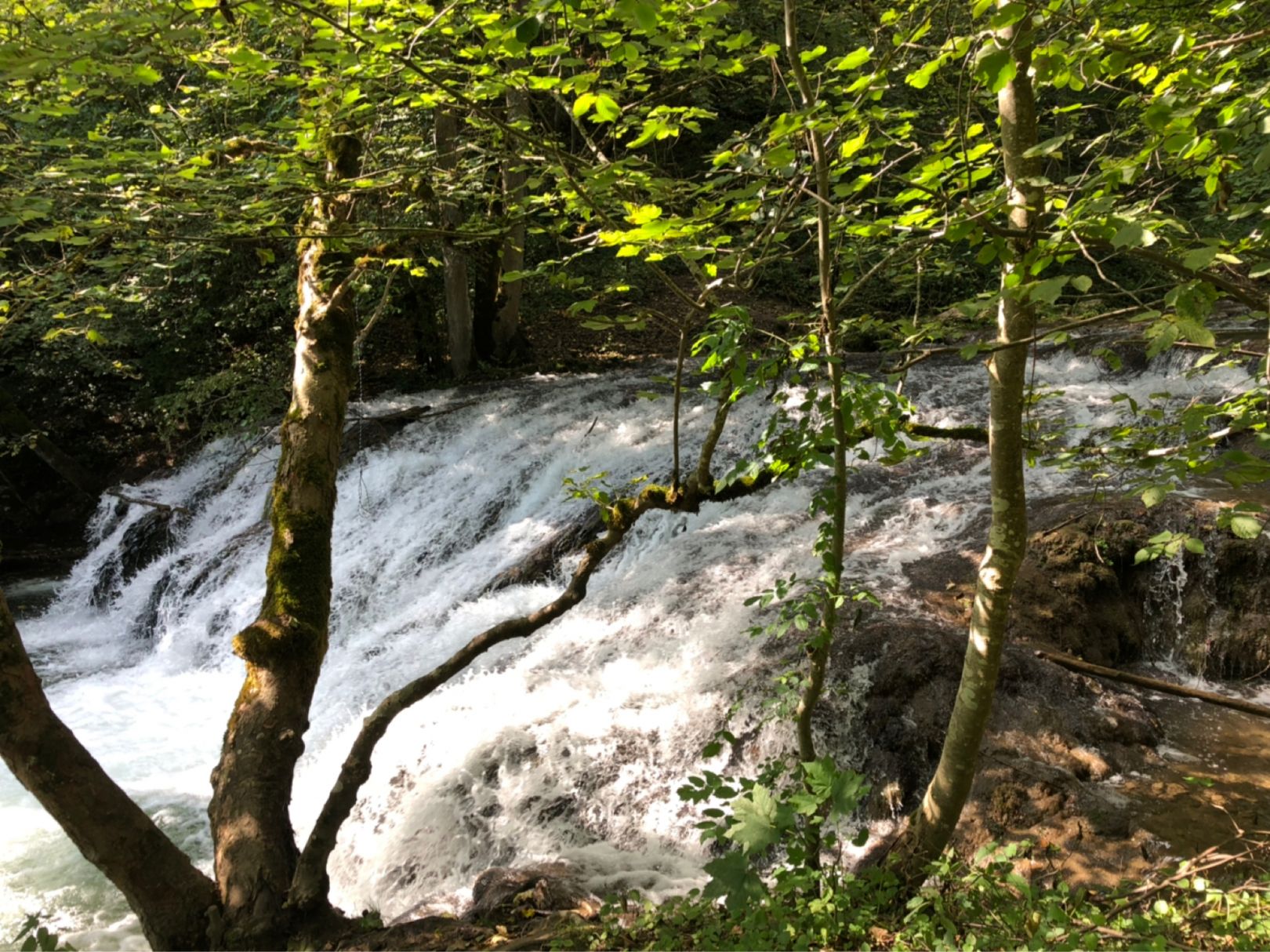 Große Lauter angeln